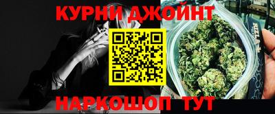 гидра Заводоуковск