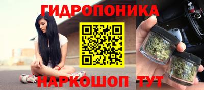 гидра Заводоуковск