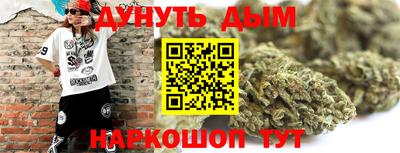гидра Заводоуковск
