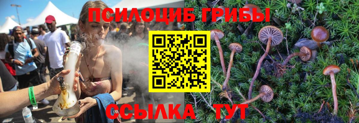 Псилоцибиновые грибы Psilocybine cubensis Миллерово